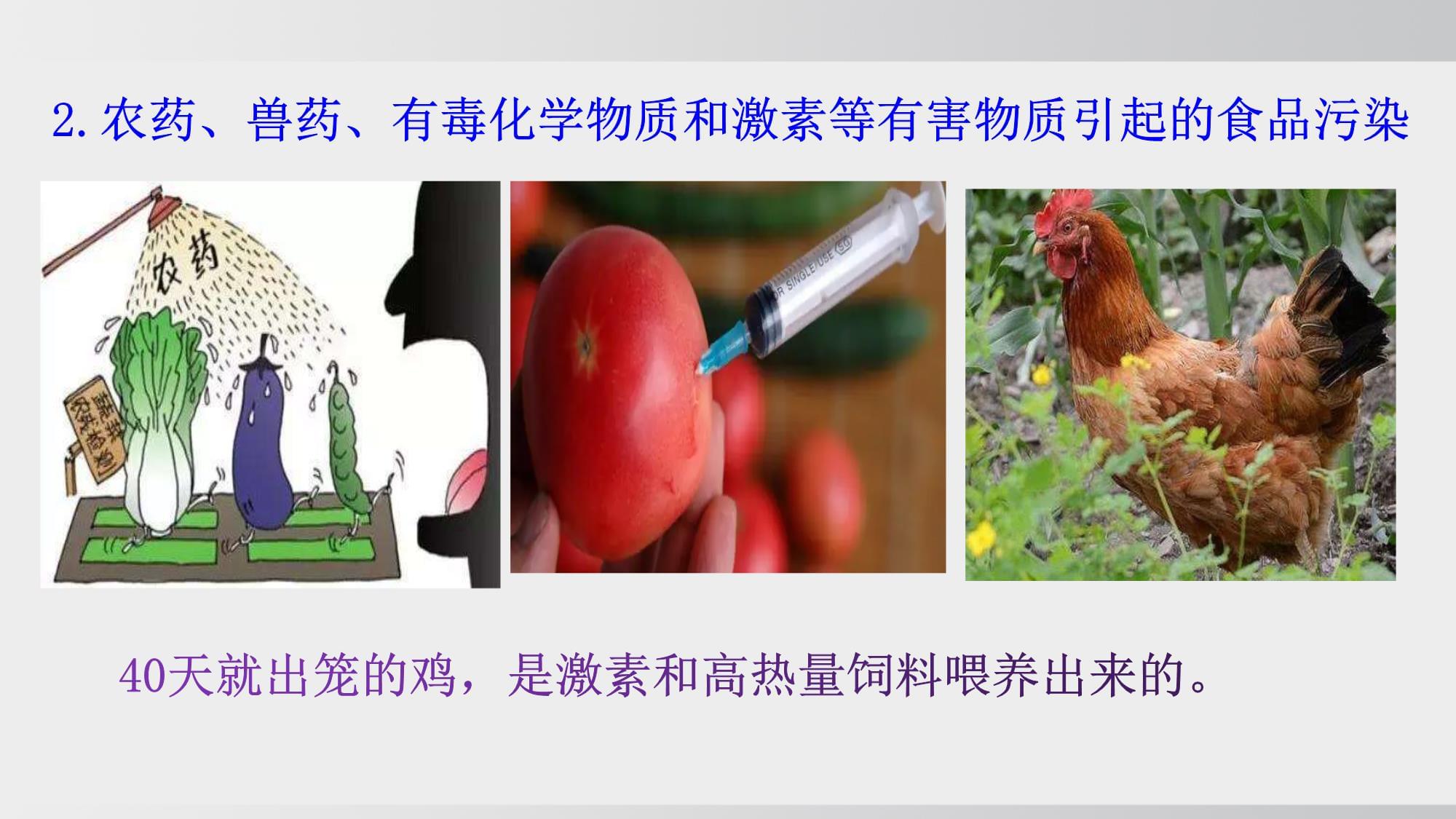 食品安全与合理饮食