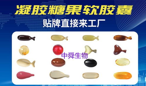 中舜生物 如何选择高品质益生菌OEM伙伴，一站式服务守护食品安全与营养