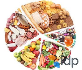 美国留学食品营养学十大名校推荐 聚焦食品安全与营养咨询服务